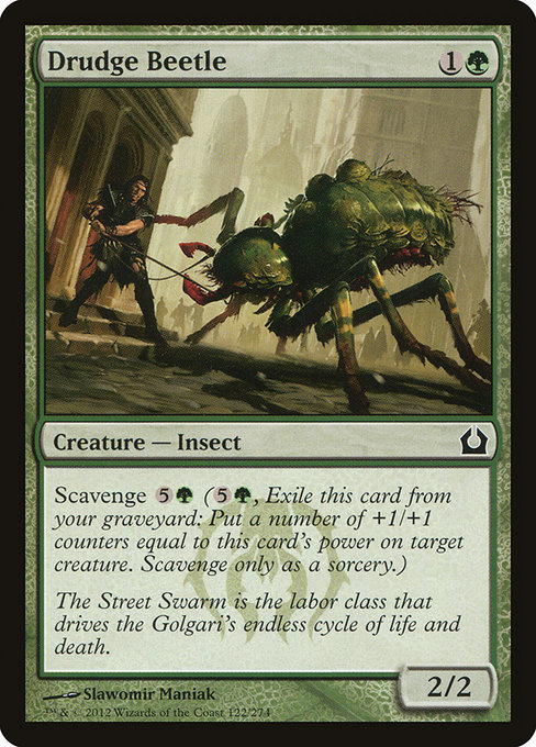Drudge Beetle - Return to Ravnica (RTR) #122