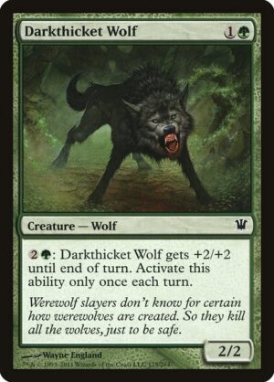 Darkthicket Wolf - Innistrad (ISD) #175