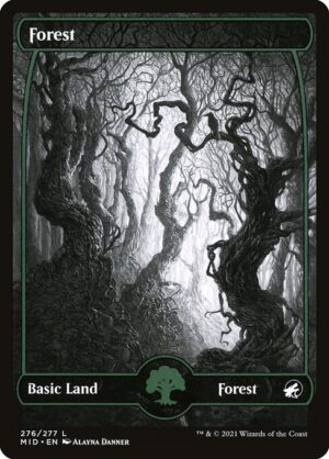 Forest - Innistrad: Midnight Hunt (MID) #276