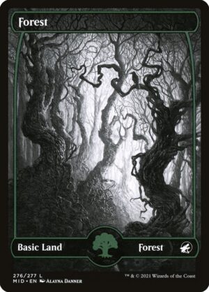 Forest - Innistrad: Midnight Hunt (MID) #276